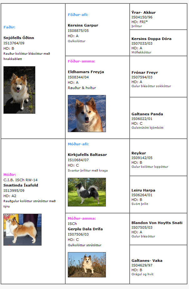 Pedigree Snaetinda Seigla