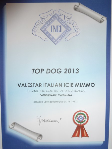 Mimmo Topdog 2013